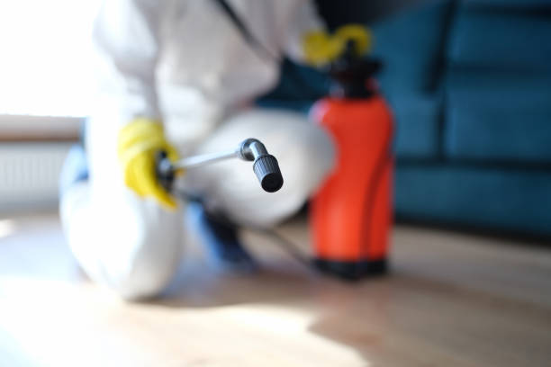 Trusted Bothell West, WA Mold Removal Experts